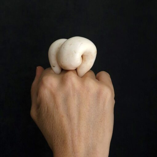 Vegan Ivory Sculptured Ring Size 7 - Image 2