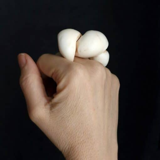 Vegan Ivory Sculptured Ring Size 7