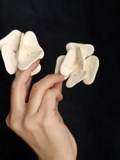 Alternative view of Vegan Ivory Flower Earrings