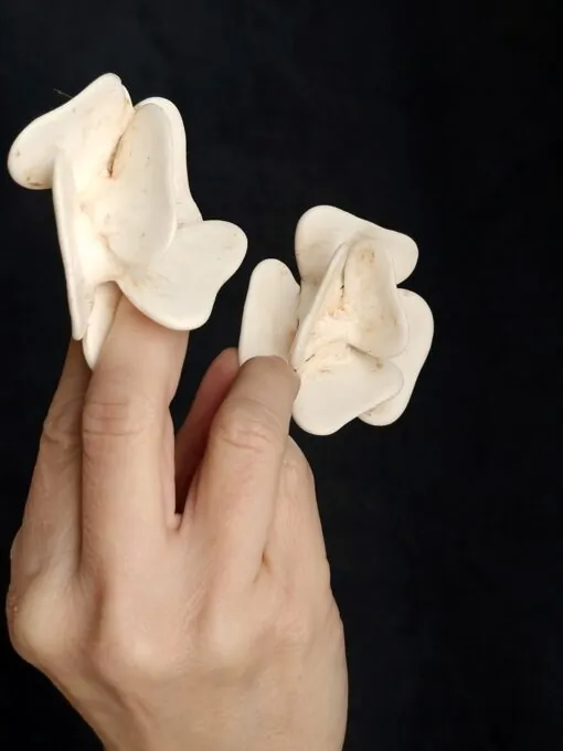 Vegan Ivory Flower Earrings - Image 4