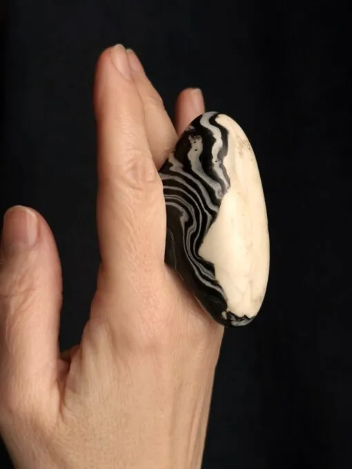 Vegan Ivory & Black Ring - Size 8