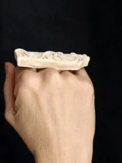 Alternative view of Vegan Ivory Sculptured Ring - Size 8