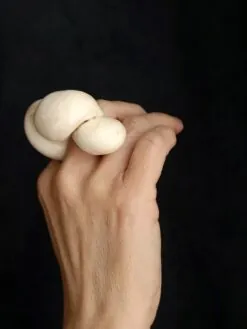 Alternative view of Vegan Ivory Sculptured Ring - Size 8.5