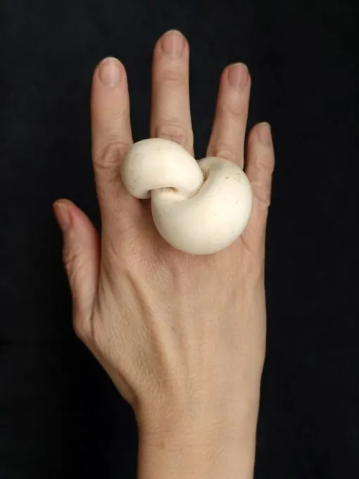 Vegan Ivory Sculptured Ring - Size 7