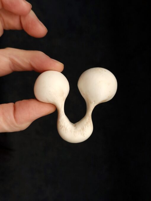 Vegan Ivory Sculptured Ring - Size 8.5 - Image 4