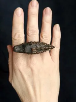 Alternative view of Black with Gold Sheen Sculptured Ring - Size 9