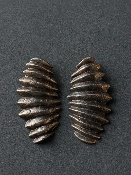 Black with Gold Sheen Earrings - Image 2