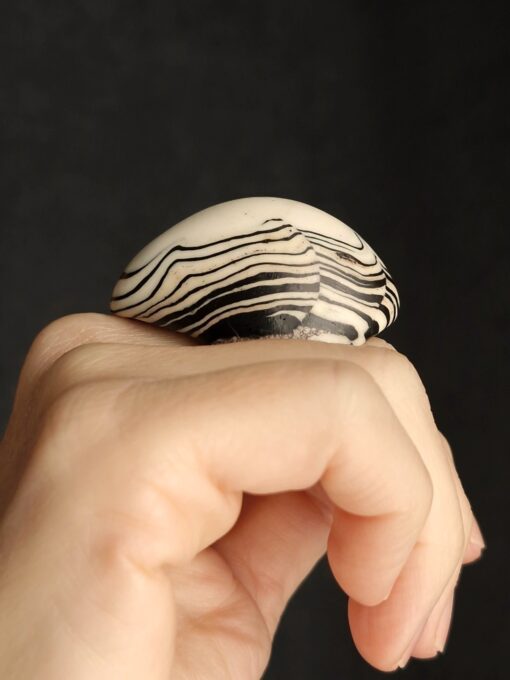 Vegan Ivory & Black Ring - Size 7 - Image 4