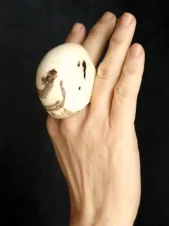 Alternative view of Vegan Ivory & Brown Ring - Size 7