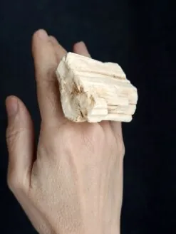 Alternative view of Vegan Ivory Sculptured Ring - Size 8