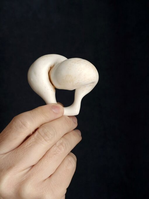 Vegan Ivory Sculptured Ring - Size 7 - Image 4