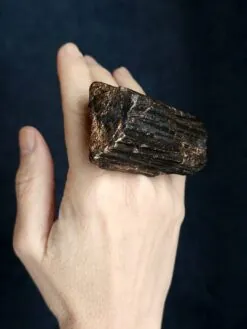 Black with Gold Sheen Ring - Size 8.5
