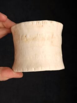 Vegan Ivory Bangle - Size M - L