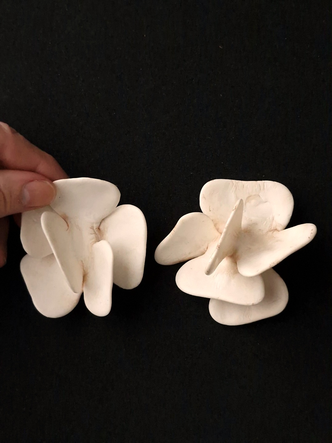 Vegan Ivory Pierced Earrings - Image 2