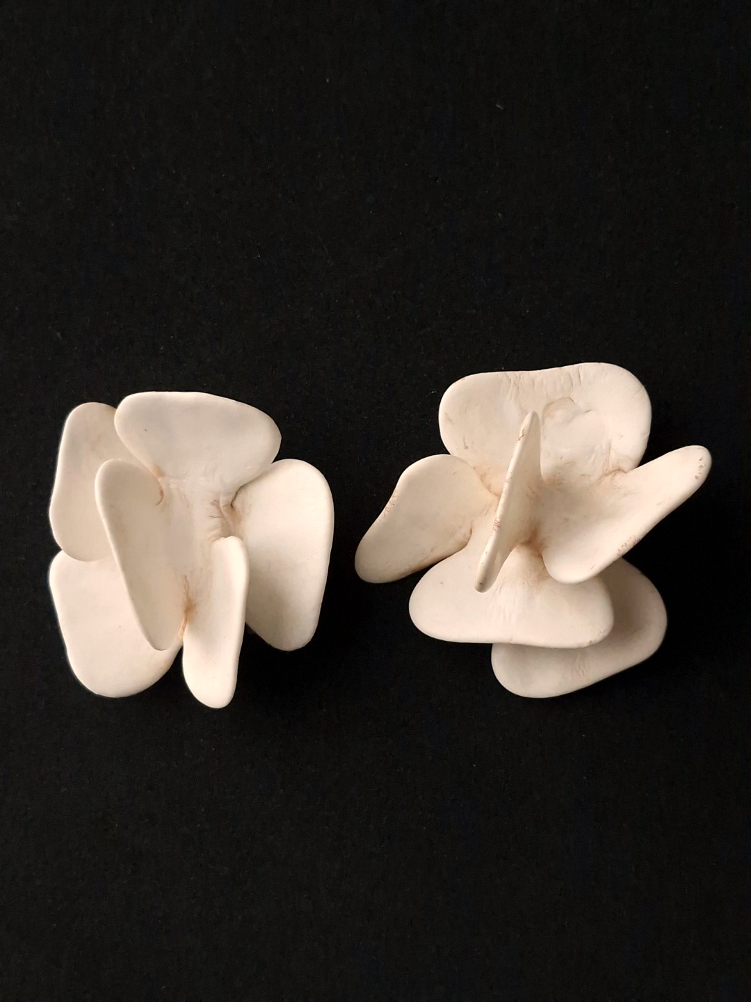 Vegan Ivory Pierced Earrings - Image 3