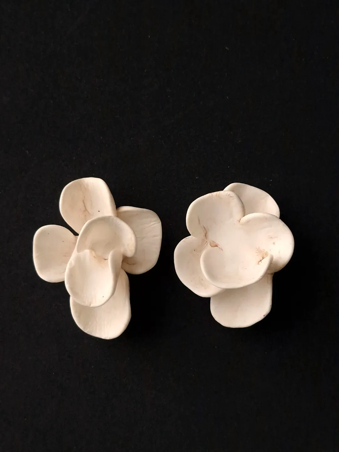 Vegan Ivory Pierced Earrings - Image 3