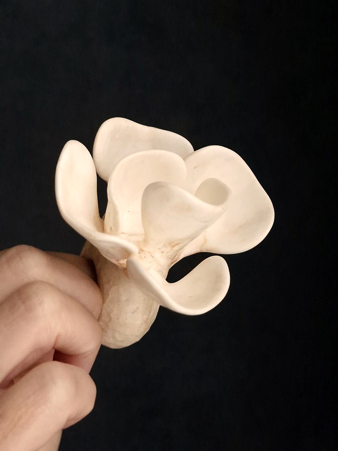 Vegan Ivory Flower Ring - Size 6 - Image 5
