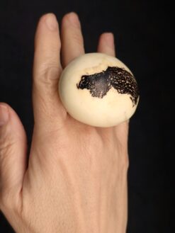 Alternative view of Vegan Ivory Ring - Size 7.5