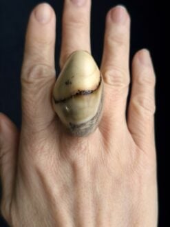 Alternative view of Vegan Ivory Ring - Size 8