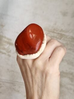 Red Jasper Stone Ring - Size 8