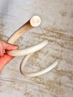 Alternative view of Vegan Ivory Snake Cuff - Size L