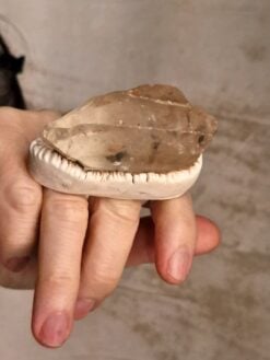 Quartz Ring - Size 8.5