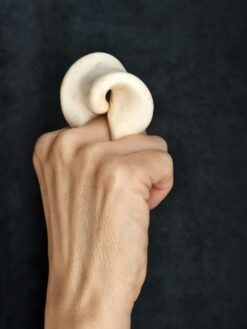 Vegan Ivory Sculptured Ring - Size 7.5