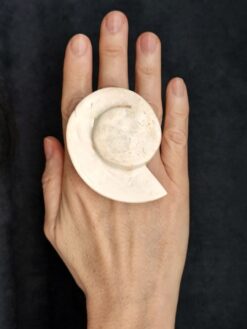 Vegan Ivory Sculptured Ring - Size 6.5