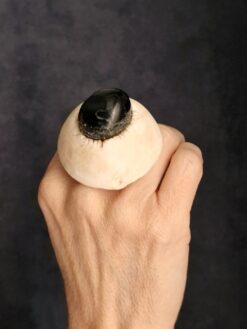 Alternative view of Polished Shungite & Vegan Ivory Ring - Size 8.5