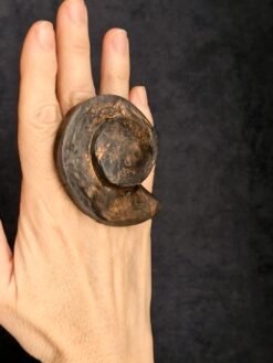 Alternative view of Black with Gold Sheen Sculptured Ring - Size 7