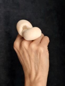 Alternative view of Vegan Ivory Sculptured Ring - Size 7