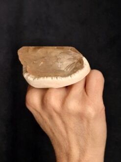 Alternative view of Quartz & Vegan Ivory Ring - Size 8