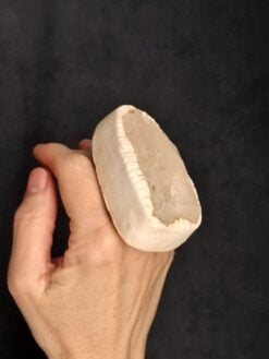 Alternative view of Quartz & Vegan Ivory Ring - Size 9