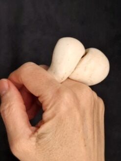 Alternative view of Vegan Ivory Sculptured Ring - Size 8.5